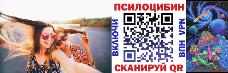 Псилоцибиновые грибы GOLDEN TEACHER  Болотное 