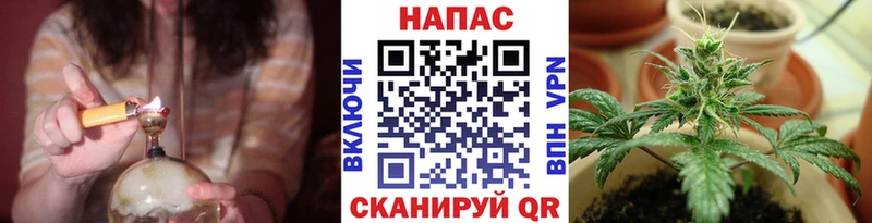 Марихуана семена  Болотное 